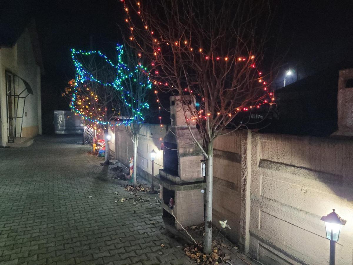 Casa Ovi Si Simo Hotel Haţeg Exterior foto