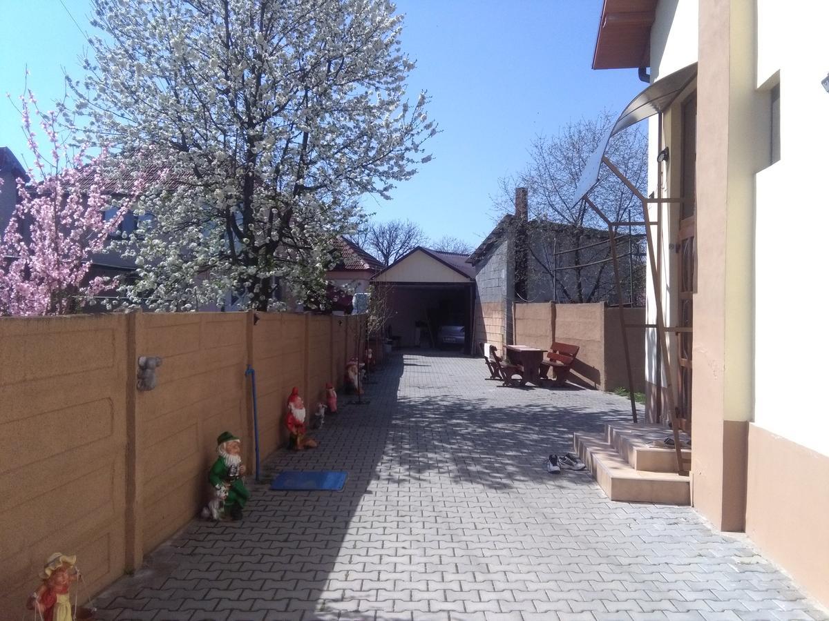 Casa Ovi Si Simo Hotel Haţeg Exterior foto