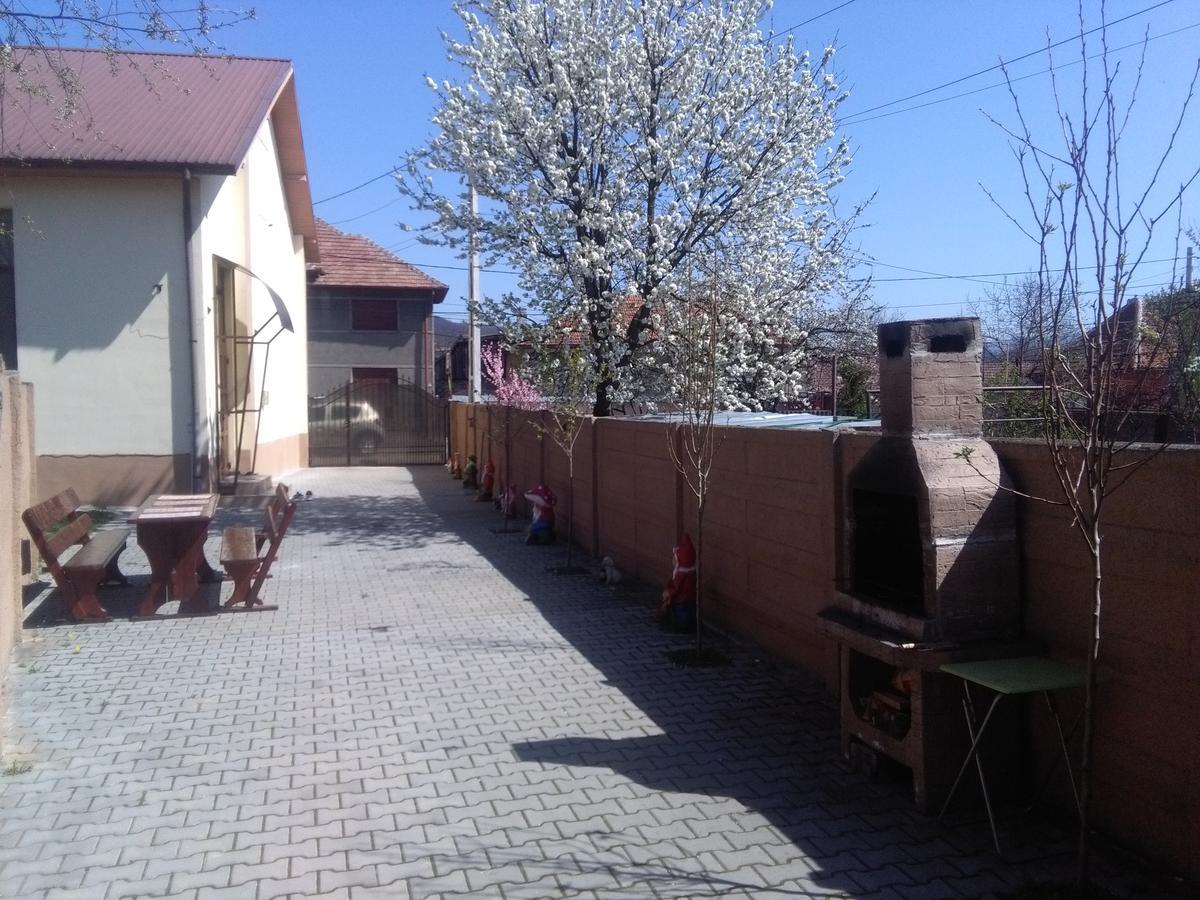 Casa Ovi Si Simo Hotel Haţeg Exterior foto