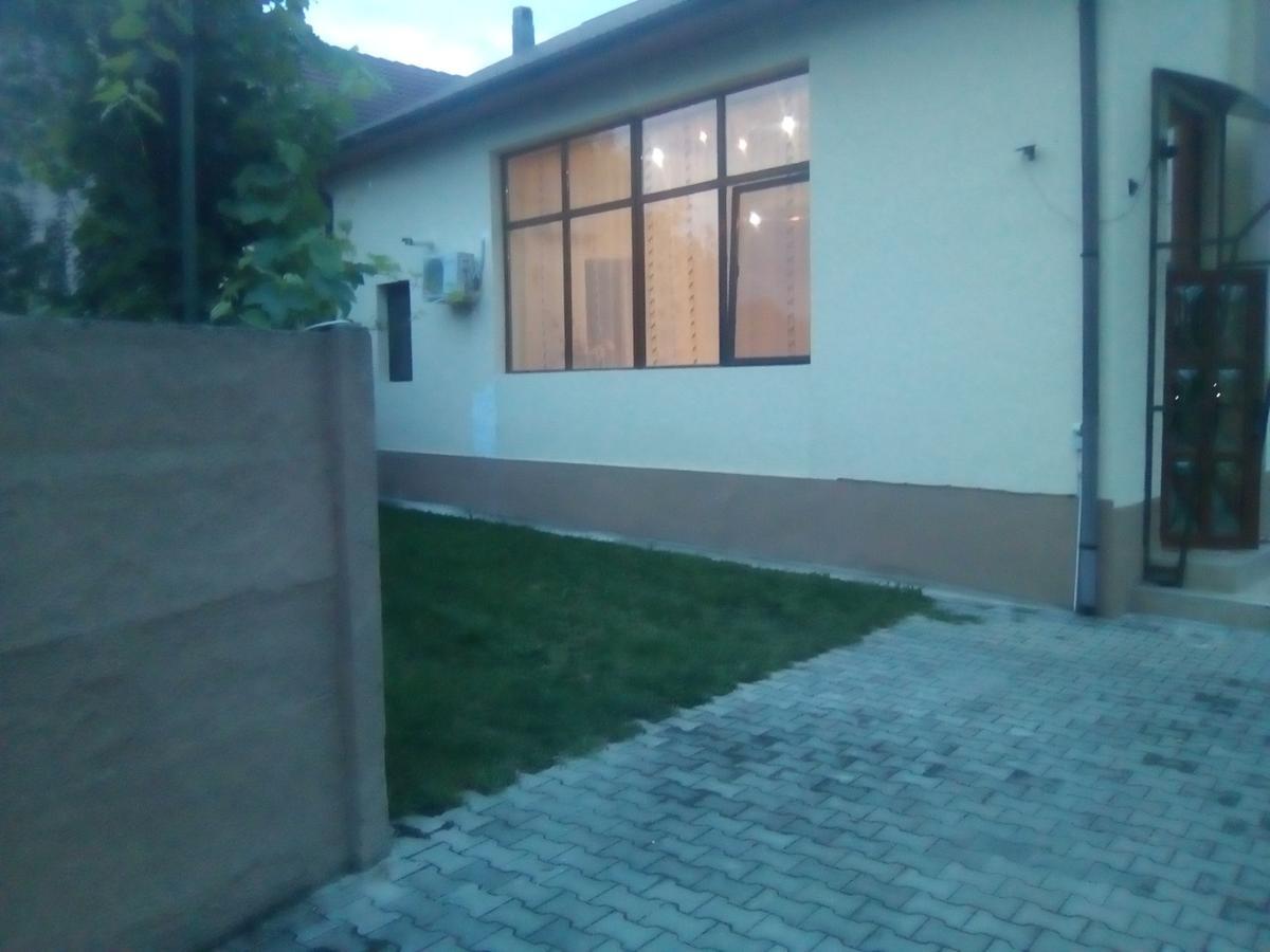 Casa Ovi Si Simo Hotel Haţeg Exterior foto