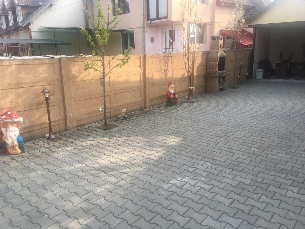 Casa Ovi Si Simo Hotel Haţeg Exterior foto