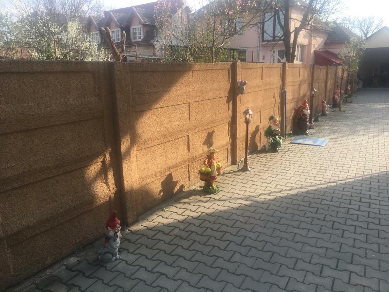 Casa Ovi Si Simo Hotel Haţeg Exterior foto
